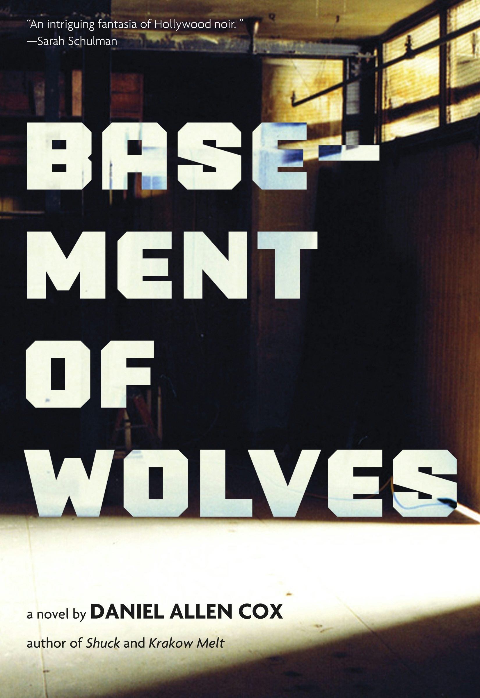 Book cover image for Basement of Wolves ISBN: 9781551524474